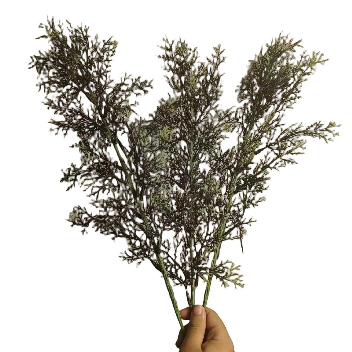 Simulación de hojas de pino y ciprés al por mayor de plástico ramas de pino y ciprés decoración interior y exterior hojas de pino hojas de árbol de navidad hojas individuales