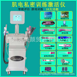 产后盆底肌修复仪私密游戏训练仪器性腺激活仪按摩蓝氧冲洗雾化仪