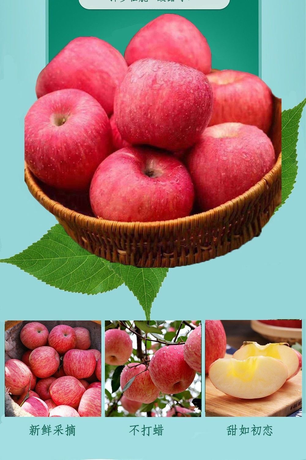 微信图片_20230919114108