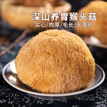 新货猴头菇新鲜干货农家特产纯天然猴菇煲汤养胃菌菇蘑菇煲汤毛重