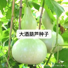 ƺJ߮aJNӲ˷Nļr߲˴JN＾^p