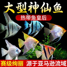 �߲������~���~�^�p�~�ᎧС�͵�ˮ���B�ͻ��~���������~�����~