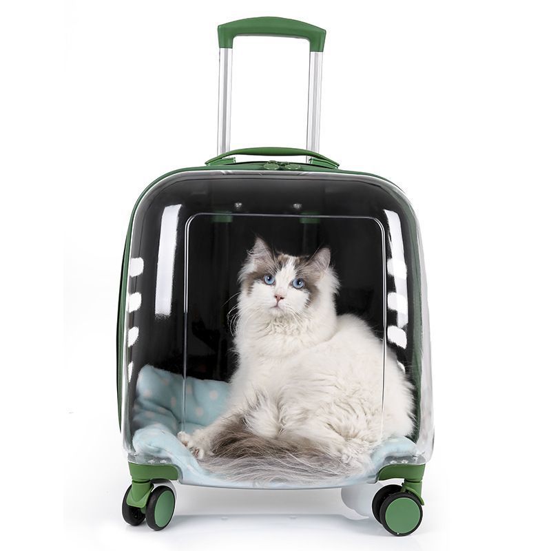 Caja de tracción de mascotas para salir, maleta de gato transparente portátil, dos cajas de transporte de perros de doble capa de gran capacidad