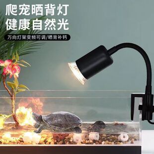 �����񱳟�������߅�A�մɼӟ���ݱ��ؼӜ�ȡů���I���������{�~