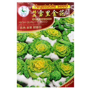 ѩ����S����N�� �����߲˿����׷N�r���S�İײ˞�������