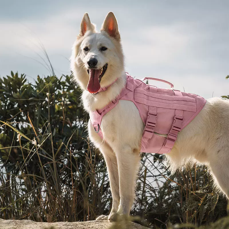 亚马逊小型犬战术狗狗胸背带工厂定制网眼透气宠物牵引绳马甲背心