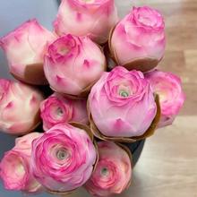 𻨘҃ͥԺGֲļyϱԝϘ