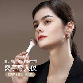 离子导入仪导出仪美容仪 脸部紧致皮肤导入仪器震动脸部按摩仪