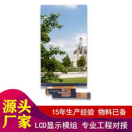7英寸LCD模块RGB垂直条纹LCD屏幕模块ROHS显示模块LCD