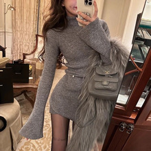 高领针织连衣裙子女秋冬2024新款高级感小个子内搭打底包臀裙