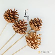 �[������DIY�ֹ����ϸɻ������׃��@ɭ���b�Ʒ�ɘ�֦��ƿ�ɹ�