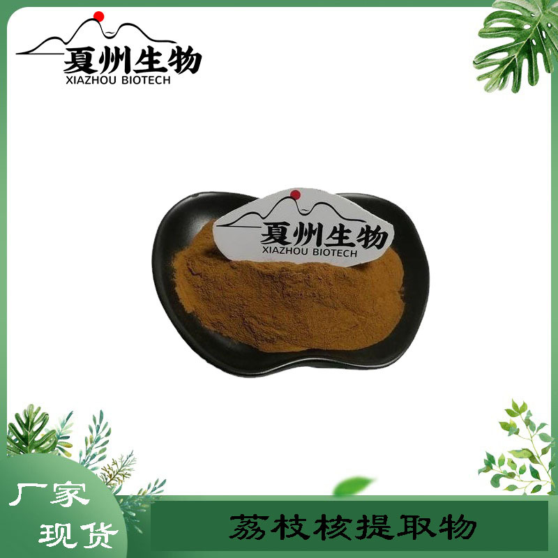 荔枝核提取物10/20/30:1荔枝核提取 水溶荔枝核粉 厂家现货销售