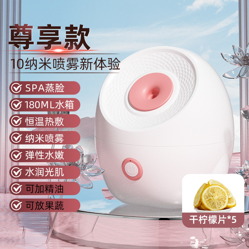 纳米冷热双喷蒸脸器家用补水喷雾机热喷蒸脸仪毛孔蒸汽脸部美容院|undefined