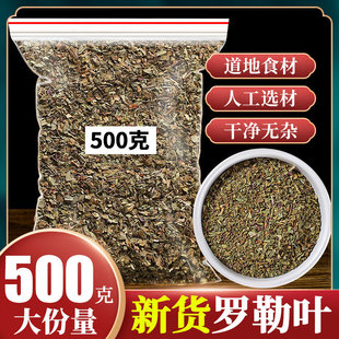 �_���~��500�� ��ɢ�b���}��basilʳ����������ݾŌ���