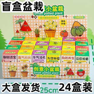 Nֲä͌WƷWYƷWYäԶYäС