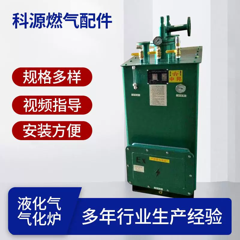 厂家供应50KG天然气气化炉 现货定制气化炉 汽化器 汽化炉厂家