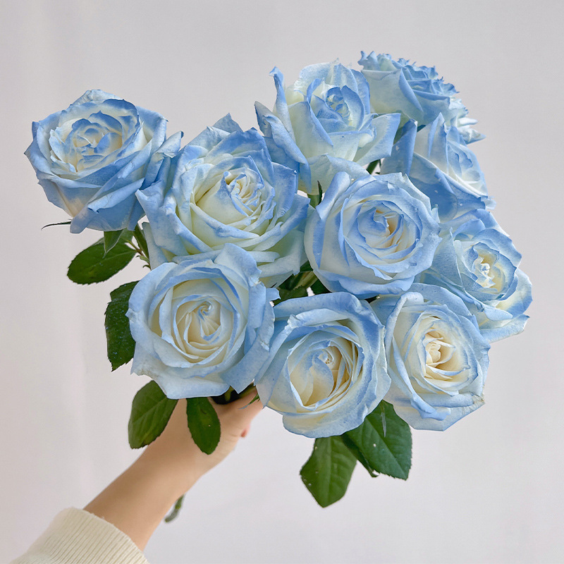 玫瑰花鲜花云南昆地批直发百合向日葵红豆家用鲜切水养插绢花|undefined