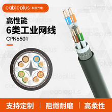 cableplus�ƌ���� ������6��I�W��-CPN6501�ɶ��������|