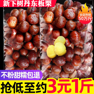 �����䡿�������r���Fժ���|����5�������Fȥë�����������_��