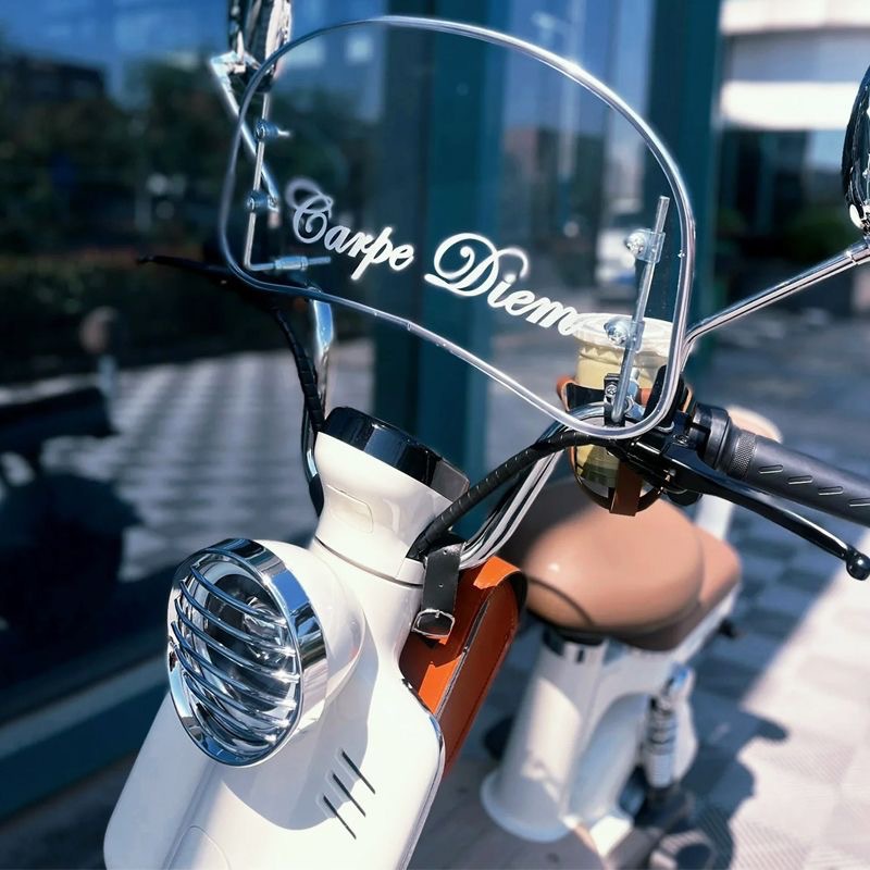 Yadi Guanneng Modern Retro Headlight Cover Metal Electroplated Silver Hollow Plastic Silver Lampshade Decoration Modification Accessories