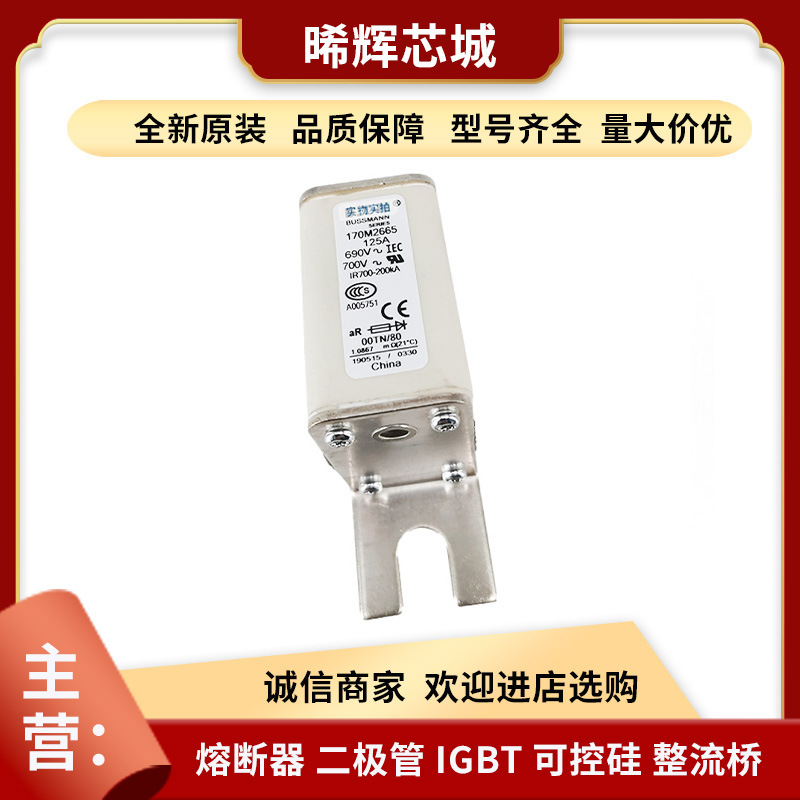 170M2665 170M6346巴斯曼直流快速熔断器电子元器件 库存充足现货
