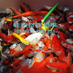 喂奶鱼奶瓶底部侧部带杆加长不伸缩锦鲤鱼奶瓶奶嘴吃奶鱼奶瓶包邮