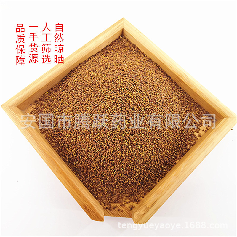 Dried Cuscuta Seeds Tu Si Zi 1kg Natural Sun Dried Chinese Dodder Seeds for Decoction and Tea quality and texture