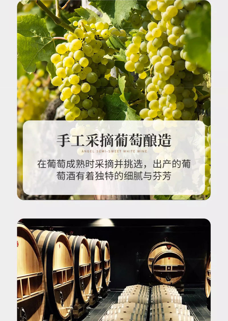 详情页_07.jpg