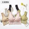 Sports underwear, lace bra, breast tightener, T-shirt, English letters, beautiful back, for running