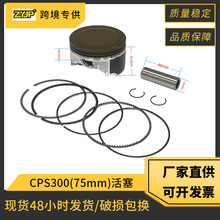 Vortx 250 Ħ�г��׸����� RW172FMM CPS300 RATO RBT250��������