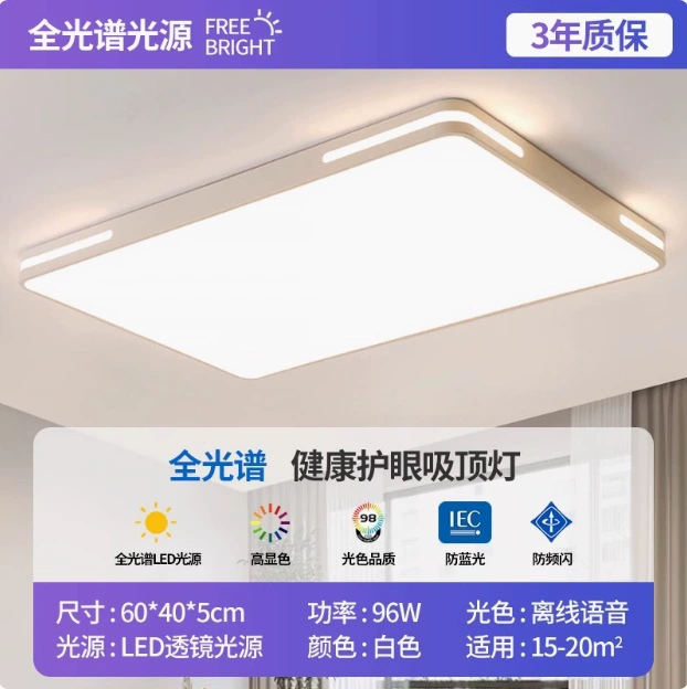 LED rectangular ceiling light, lights for living room for corridor for gazebo