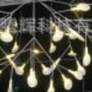 �����Ըɵ����� �����ڻԵ�����