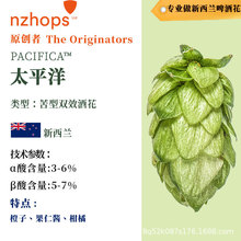 �����m�M��ơ�ƻ� ̫ƽ��PACIFICA �����pЧ�w���ƻ� ơ�ƏS���