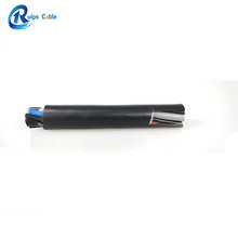 ���������I��|CYKY-O�W�˹��I���|