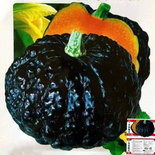 �ձ��ϹϷN��������Ŵ�߮a�����߲˷N�Ѻڰ����Ϲ��M���ļ����N��