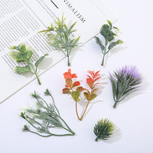 �¿��˪����ˮ�����l���ʽ����Gֲ������ϼҾ��������ֲ��