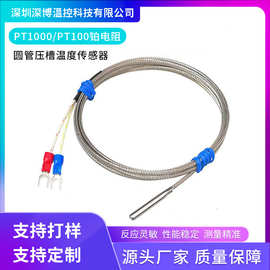 PT100温度传感器铂热电阻热电偶防腐蚀耐高温不锈钢4*30mm测温线