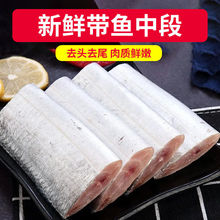 新鲜带鱼段大段冷冻带鱼东海小眼带鱼刀鱼段中段海鲜水产顺丰冷链
