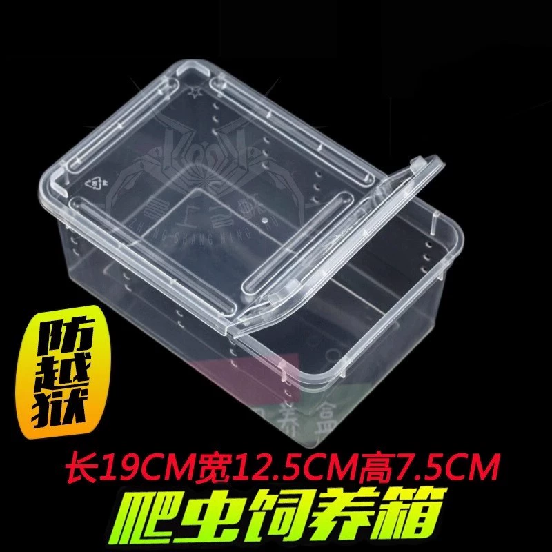 Коробка для разведения рептилий Коробка для разведения шлаков Коробка для хранения дворцовых насекомых паук-скорпион домашняя змея улитка черепаха роговая лягушка