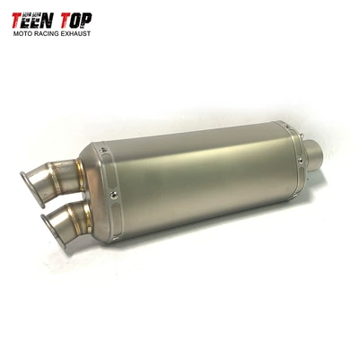 Motorcycle Z900 Cb500X 800Mt Mt09 Modified with Dual Scorpion Exhaust Pipes and Large Displacement Tail Section (Exhaust manifold) - titanium-color