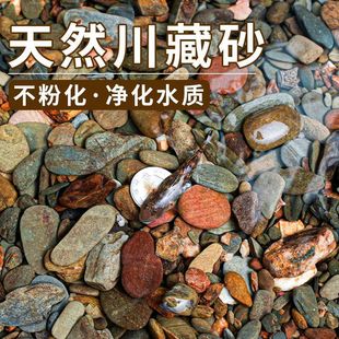 Native Sichuan-Xizang Sand Fish Tank Bottom Sand Landscaping Decoration Turtle Aquatic Plants South American Tank Crystal Rainforest Large Rock Makeup Sand