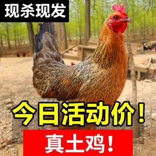 ���S�u�l3ֻ���u��ĸ�u���u��ɽ�u���ߵ����ӻ��u�����F�������l