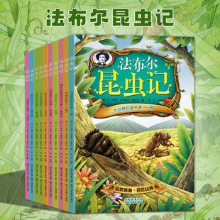 ���淨�������xӛȫ��10�����꼉��С�W�n����x��ע����������