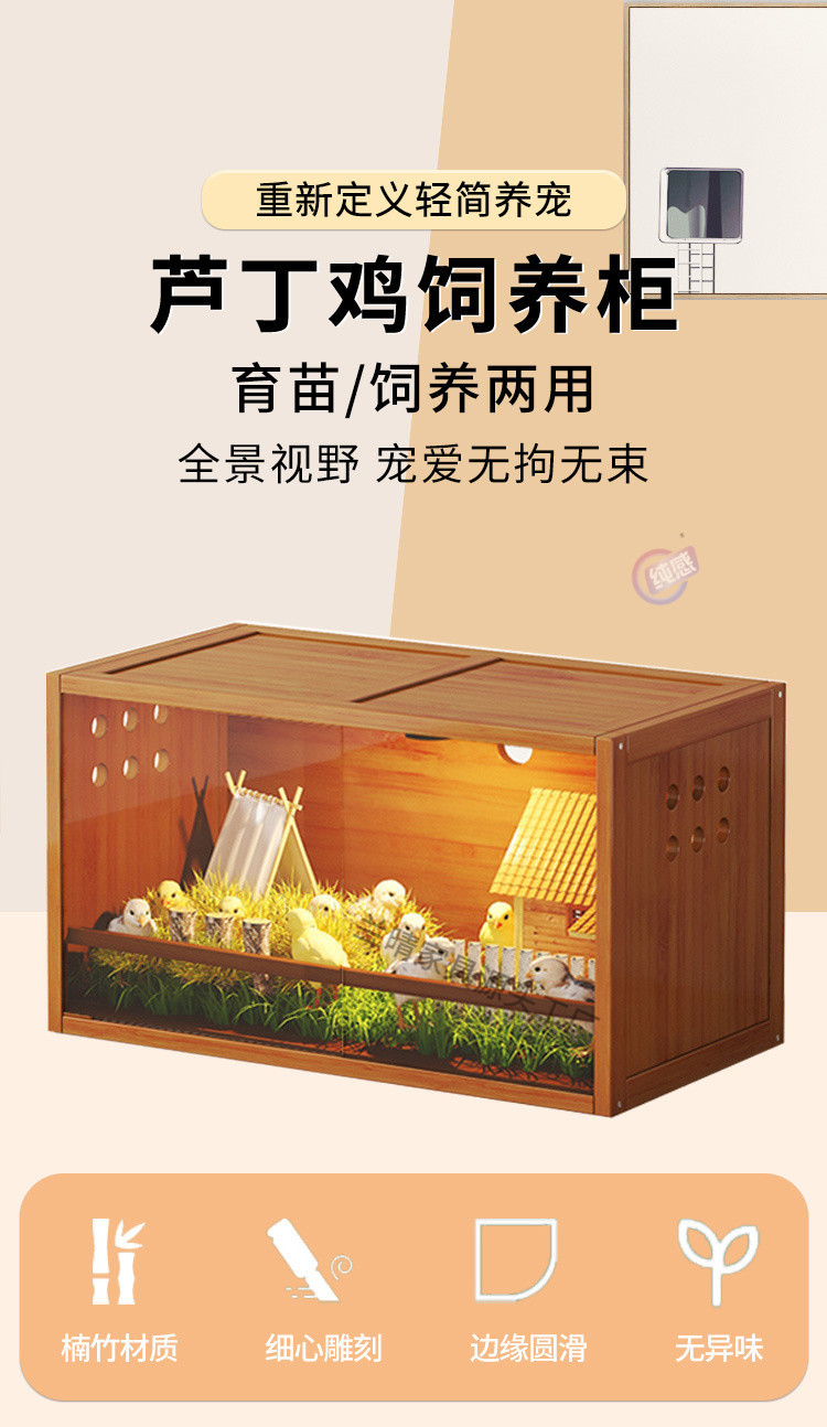 dd8a97c3-d9e7-4e1e-afec-14de7f7a921e.jpe