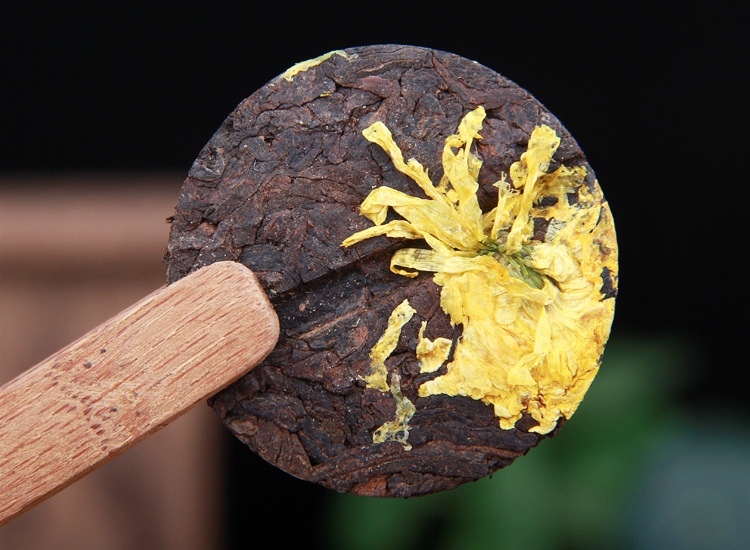 Yellow chrysanthemum Pu'er 7