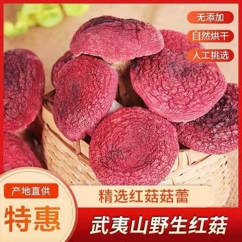 福建武夷山红菇批发野生天然红蘑菇月子菇干野生红菇红蘑碎片|undefined