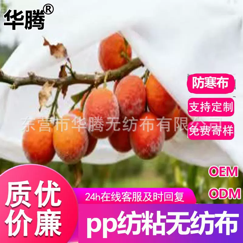 柑橘果树防寒布农业用无纺布地膜果蔬草坪秧苗防霜冻保温透气覆盖