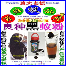 250克黑蚂蚁粉拟黑多刺蚁粉碎成 家人可自泡蚁酒蚂蚁丸蚂蚁胶囊