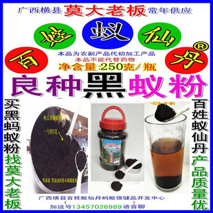 250�˺�Λρ�۔M�ڶ��ρ����� ���˿�����ρ��Λρ��Λρ�z��