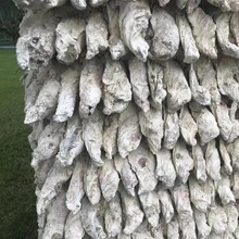 򺚤�V��ĵϠ���~�؃�����Ȼؐ���V���\���~��ˮ�|������ɽʯ򺚤